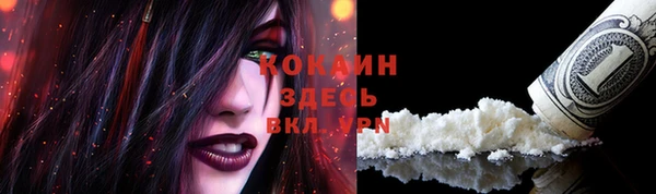 ешки Алексеевка